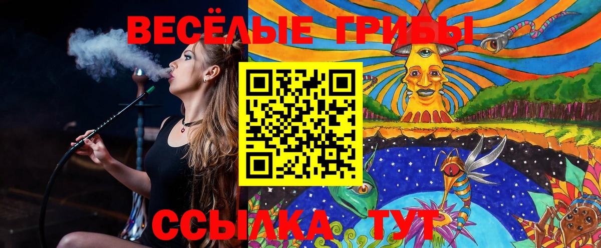 Димитровград  Псилоцибиновые грибы GOLDEN TEACHER  Вход с VPN 