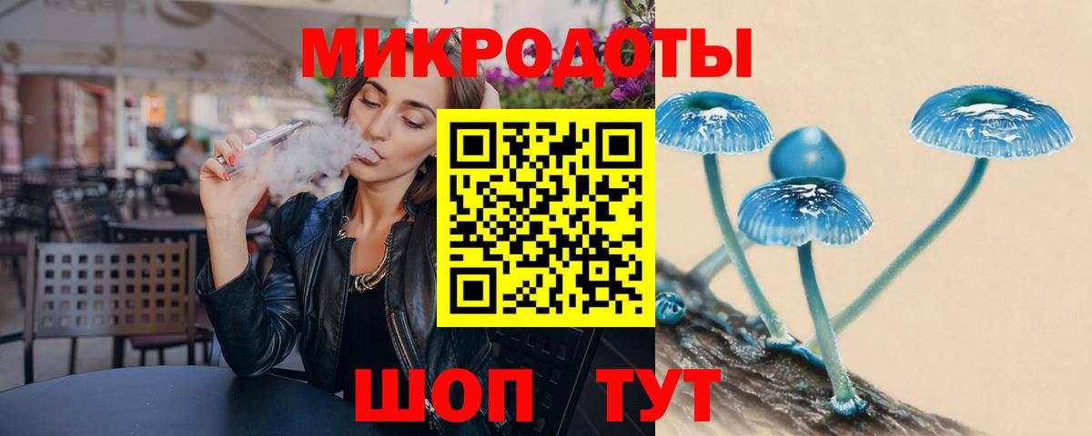 Галлюциногенные грибы Psilocybine cubensis Димитровград