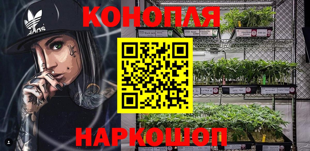 Бошки марихуана Ganja Димитровград
